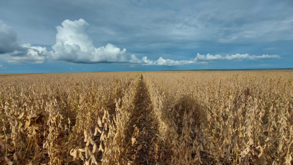 Indenizações agrícolas 2021/22